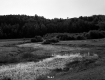 Whipple Property, Fenced Farm Fields and Forested Hills
