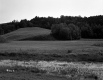 Whipple Property, Fenced Farm Fields and Forested Hills