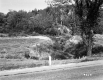 Whipple Property, Field and Forested Hill