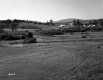 Whipple Property, Open Fields