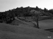 Whipple Property, Fenced Farm Fields and Forested Hills