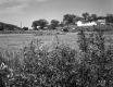 Whipple Farmstead