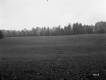 Hammond Property, Farm Fields and Forest