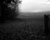 Hammond Property, Fenced Farm Fields and Forest