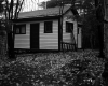 Harris Property, Camp in Forest