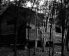 Harris Property, Camp in Forest