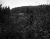 Croft Property, Junkyard