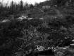 Croft Property, Junkyard