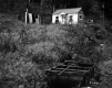 Croft Property, Cabin and Sheds