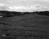 Britton Property, Rolling Farm Fields