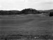 Britton Property, Rolling Farm Fields