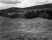 Britton Property, Rolling Farm Fields