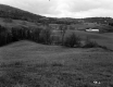 Britton Property, Rolling Farm Fields
