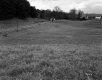 Britton Property, Rolling Farm Fields