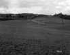 Britton Property, Rolling Farm Fields