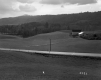 Britton Property, Rolling Farm Fields