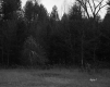 Britton Property, Forest View