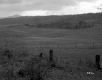 Britton Property, Rolling Farm Fields