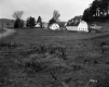 Britton Farmstead