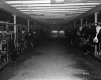 Britton Property, Interior of Dairy Barn