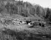 Croft Property, Junkyard