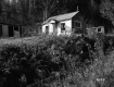 Croft Property, Cabin and Sheds