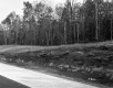 Beaudoin Property, Forest and Rock Ledge along I-89