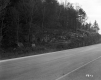 Beaudoin Property, Forest and Rock Ledge along I-89