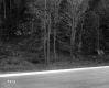 Beaudoin Property, Forest along I-89