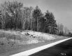 Bogni Property, Forest and Rock Ledge along I-89