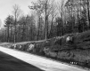 Bogni Property, Forest and Rock Ledge along I-89