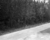 Bogni Property, Forest along I-89