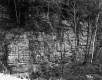 Bogni Property, Trees on Rock Ledge