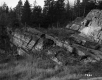 Gratton Property, Forest and Rock Ledge