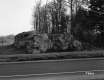 Forest and Rock Ledge along I-89 in Colchester