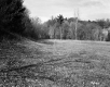 Gates Property, Field and Forest
