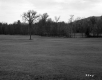 Gates Property, Field and Forest