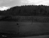 Squire Property, Farm Fields