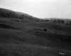 Burrington Property, Rolling Farm Fields