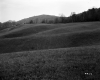 Burrington Property, Rolling Farm Fields