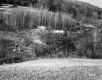 Burrington Property, Rolling Hills