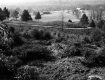 Staples Farmstead