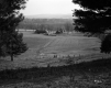 Staples Farmstead