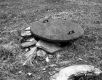 Britton Property, Spring