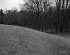 Harreck Property, View toward Forest