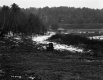 Swasey Property, Farm Fields and Forest