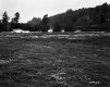 Swasey Property, Farm Fields and Forested Hills
