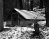 Hammond Property, Spring House