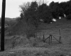 Smith Property, Fenced Field and Forest