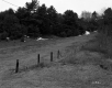 Smith Property, Fenced Field and Forest